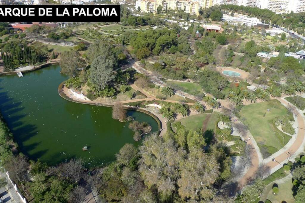 Estudio En Benalbeach, Vistas Mar, Primera Linea Playa Benalmádena Dış mekan fotoğraf